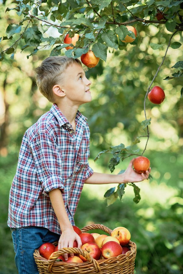 Quels sont les meilleurs conseils pour une alimentation équilibrée en voyage?